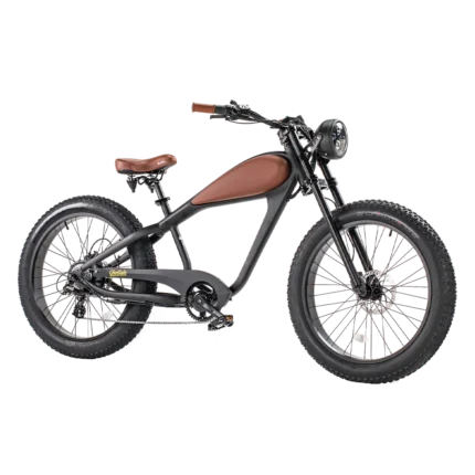 Revi Bikes Cheetah 48V 750W Hub Motor Fat Tire Electric Cruiser Bike